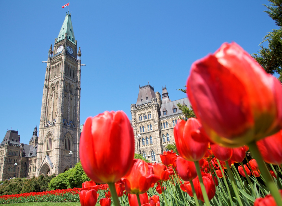 apprendre l'anglais au Canada